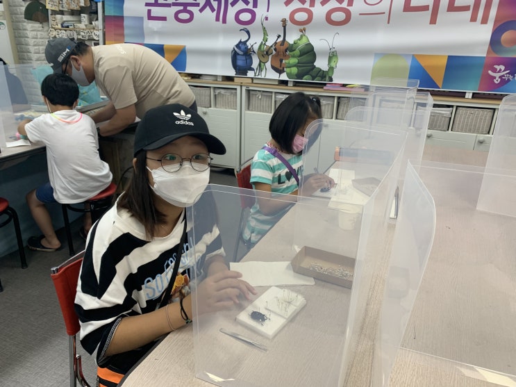  곤충 표본시간 - 나비와 기데온 장수풍뎅이