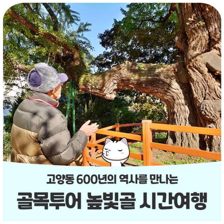 고양동 600년의 역사를 만나는 골목투어 높빛골 시간여행 고양동 600년의 역사를 만나는 골목투어 높빛골 시간여행
