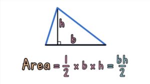 삼각형 넓이 공식 / 다양한 방법