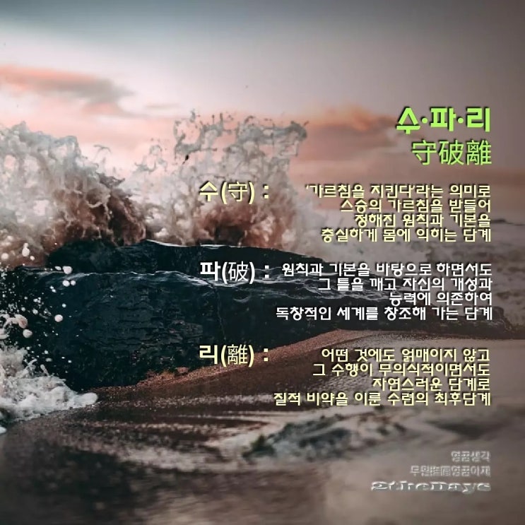  수파리와 청출어람, 이렇게 멋지게 성장하는 인생이면 좋겠습니다.