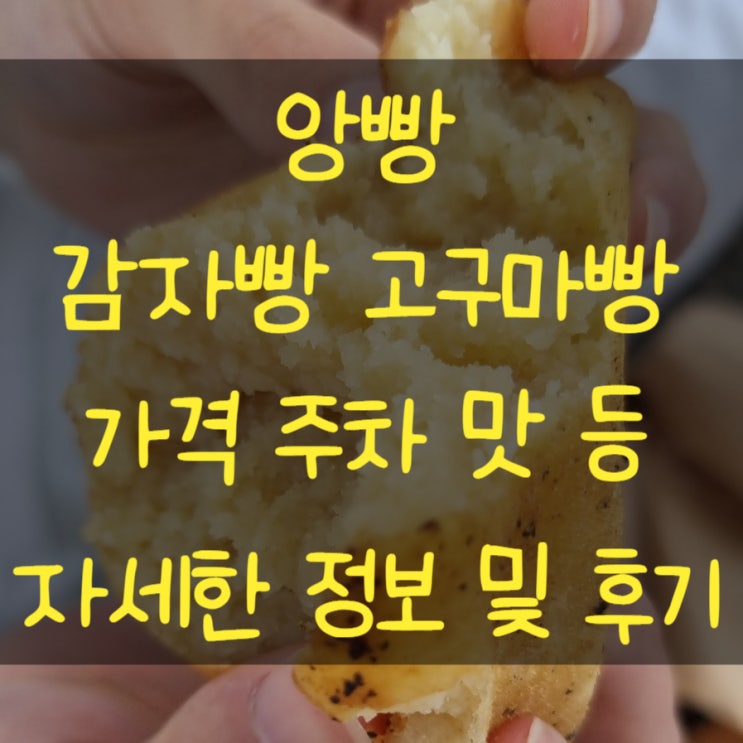 강릉여행 세인트존스호텔 빵지순례 맛집 추천 앙빵 감자빵 고구마빵