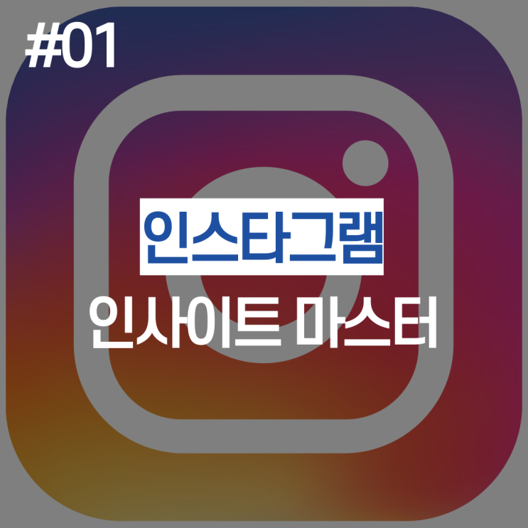  인스타그램 인사이트 전문가가 분석해드림