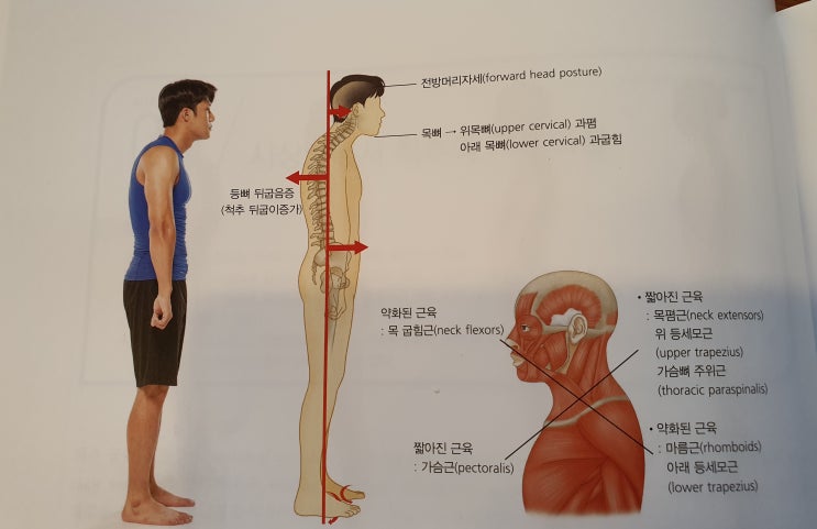  [이수역필라테스]  나의 관절 가동 범위는 정상일까? - 흉추 관련 편