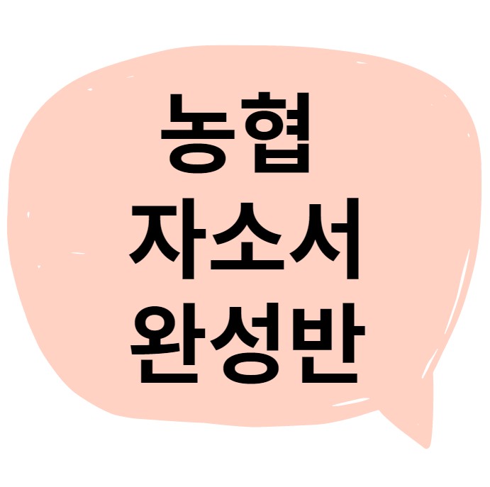  농협 자소서 컨설팅 과정 및 합격 후기