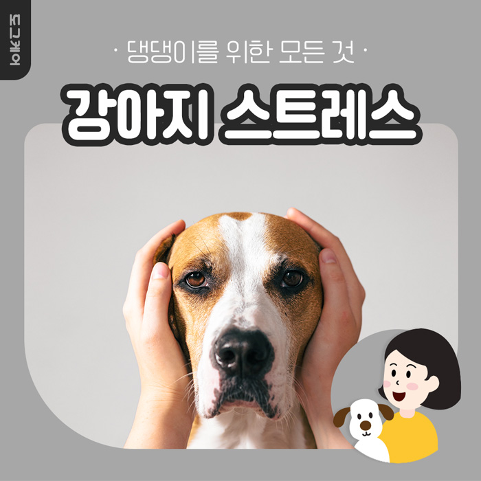  도그케어 강아지 스트레스 / 스트레스 예방법