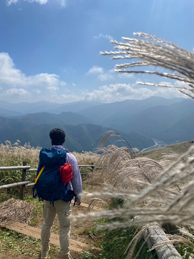 민둥산 최단코스 증산초교코스 가을 억새 풍경
