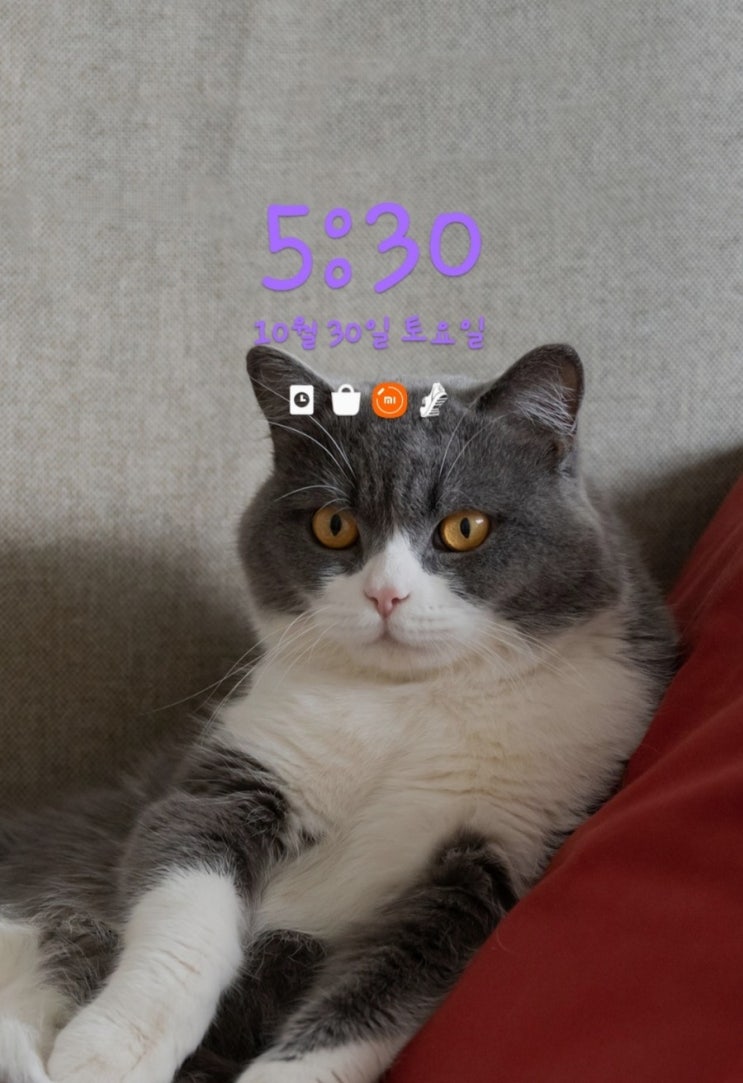  [D-26] 2021년 10월 30일 토요일 오늘은 제목 없음 ㅎㅎ
