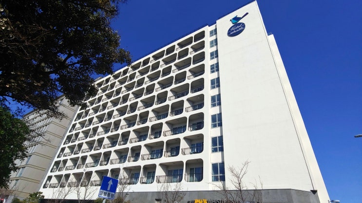  제주 공항 근처 숙소 호텔 휘슬락(바다뷰, 뚜벅이 숙소)