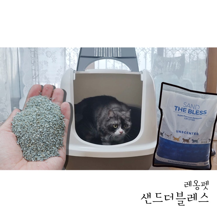  고양이모래 추천 가성비 좋고 먼지 없는 샌드더블레스