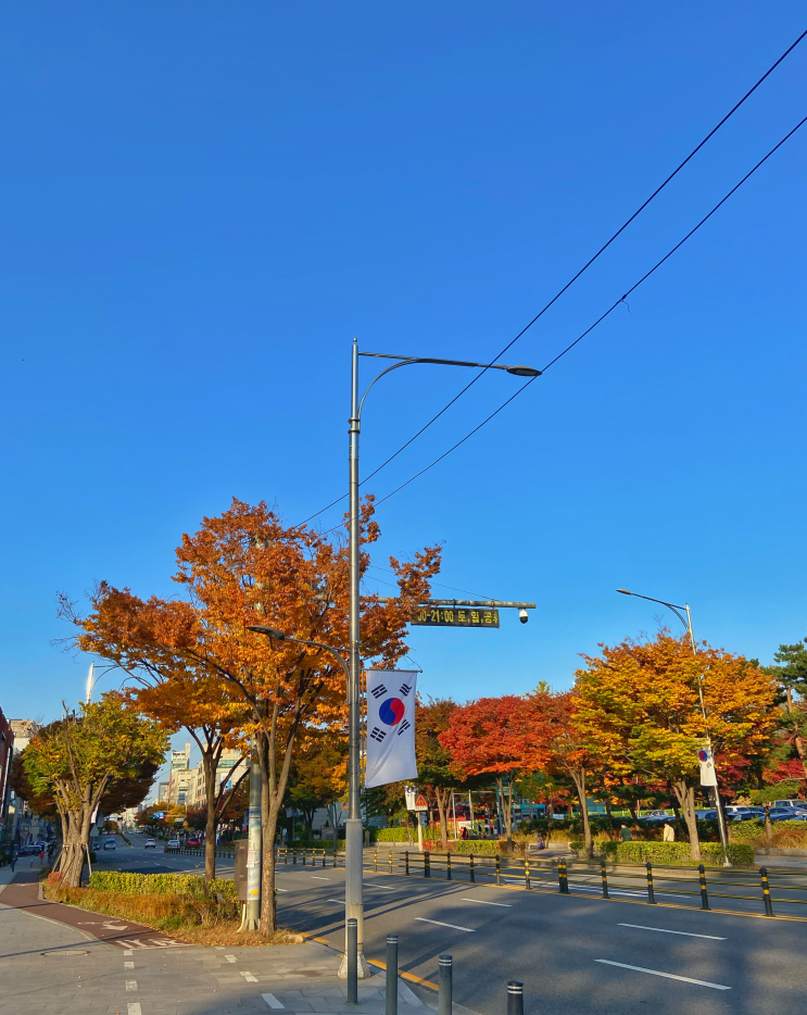  [인턴 기록] 플레이디 3주차 퍼포먼스 AE 인턴(Feat. 점점 들켜버리는 내 블로그)