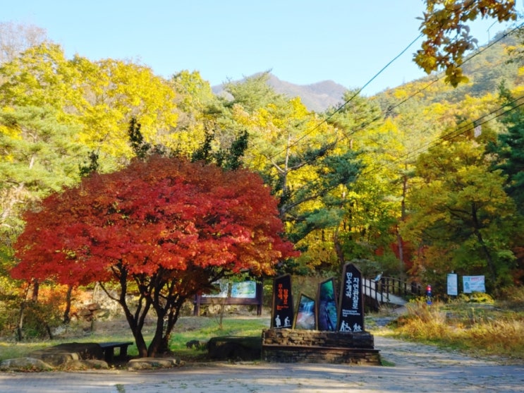  제천 월악산 국립공원 만수계곡 자연관찰로 나들이 후기