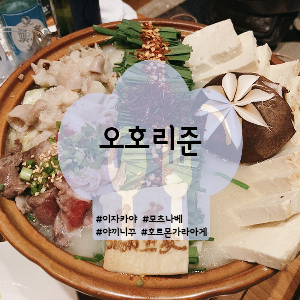  [대구/수성구] 범어동 맛집 이자카야 오호리준 모츠나베