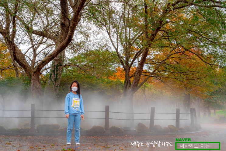  제주  한라생태숲 단풍(2021.10.30)[제주 한달살기숙소 SE]