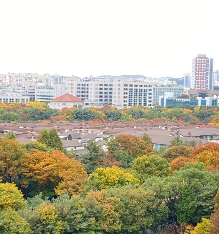 가을 우체국 앞에서