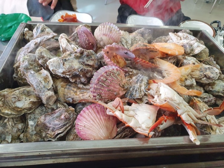  천북굴단지 보령대천 먹을만한곳 추천! 천북 굴찜,영양굴밥 - "바다굴수산"