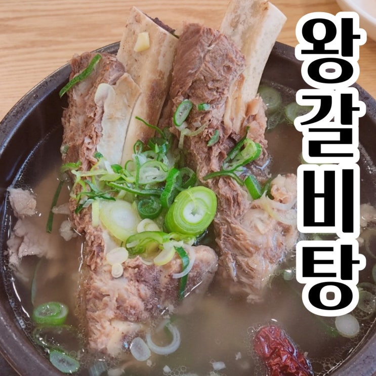 후기가 정말 좋은 고향의맛집 왕 갈비탕 한우곰탕 한우 소고기국 700g 2팩 3팩 골라담기 소고기무국 육개장, 01 수제 왕갈비탕 2팩 추천해요