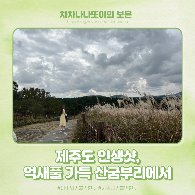  제주도 억새풀을 마음껏 즐길 수 있는 산굼부리