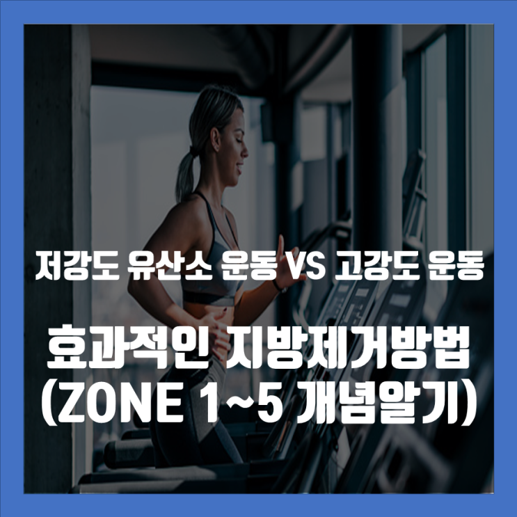  [다이어트 팁] 지방제거에 효과적인 심박수 (ZONE 1~5 개념) 저강도 유산소는 지방제거에 효과적? 저강도 운동 vs 고강도 운동