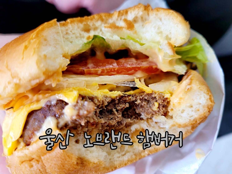  울산 노브랜드버거 성남동  배달리뷰