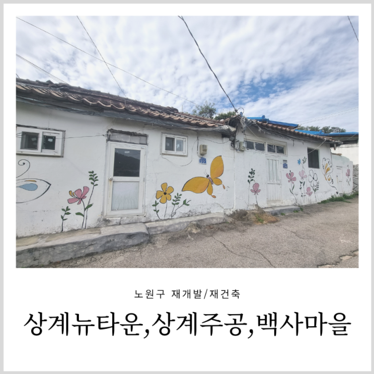 노원구 재개발/재건축 상계뉴타운, 상계주공 및 104마을(백사마을) 임장기 노원구 재개발/재건축 상계뉴타운, 상계주공 및 104마을(백사마을) 임장기