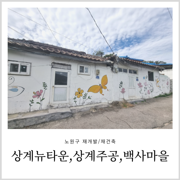 노원구 재개발/재건축 상계뉴타운, 상계주공 및 104마을(백사마을) 임장기