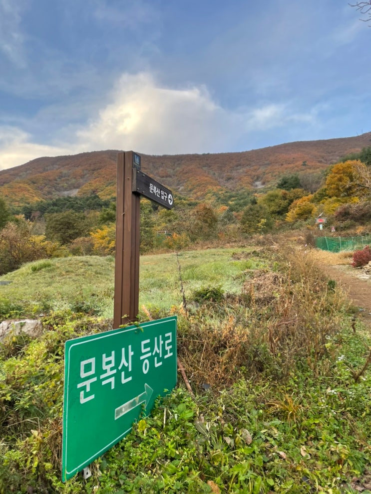  [영남알프스6봉] 문복산 최단코스 왕복 2시간도 가능