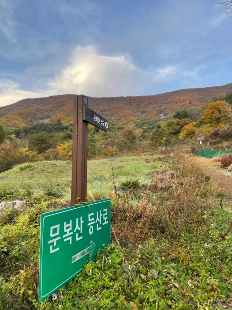 [영남알프스6봉] 문복산 최단코스 왕복 2시간도 가능