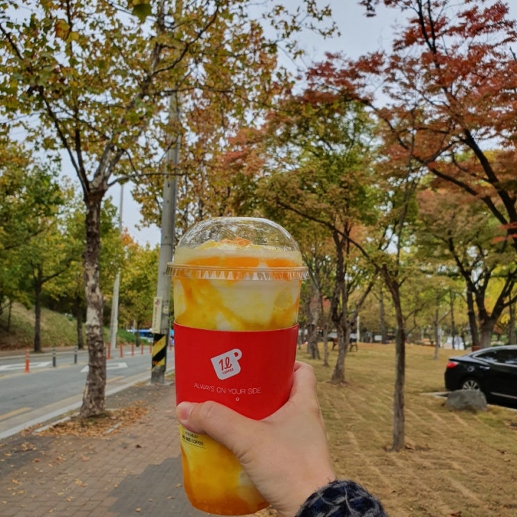 대구 율하동 카페 : 더리터 대구롯데 율하점 / 대용량 커피 / 전국 최우수 매장 / 와플 맛집 / 크로플 맛집 / 가성비 맛집 대구 율하동 카페 : 더리터 대구롯데 율하점 / 대용량 커피 / 전국 최우수 매장 / 와플 맛집 / 크로플 맛집 / 가성비 맛집