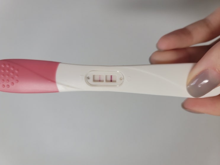 [곧만나자]두줄 임신확인 후 피검사_3주4주 극초기 임신증상