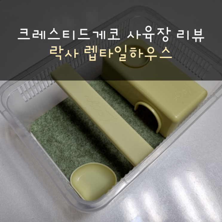  크레스티드게코 사육장 신제품 락사 렙타일하우스 후기