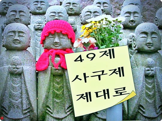  49제 핵심만 알면 계산과 의미, 탈상도 자연스럽 재