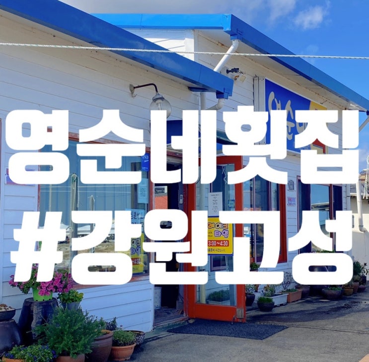  강원도 고성 맛집 봉포항 신선한 회, 매운탕 영순네횟집