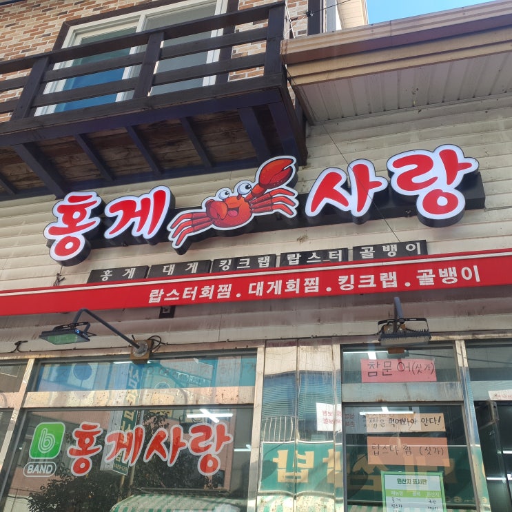  강릉에서만난 홍게사랑 서울까지 홍게가 택배가능한집