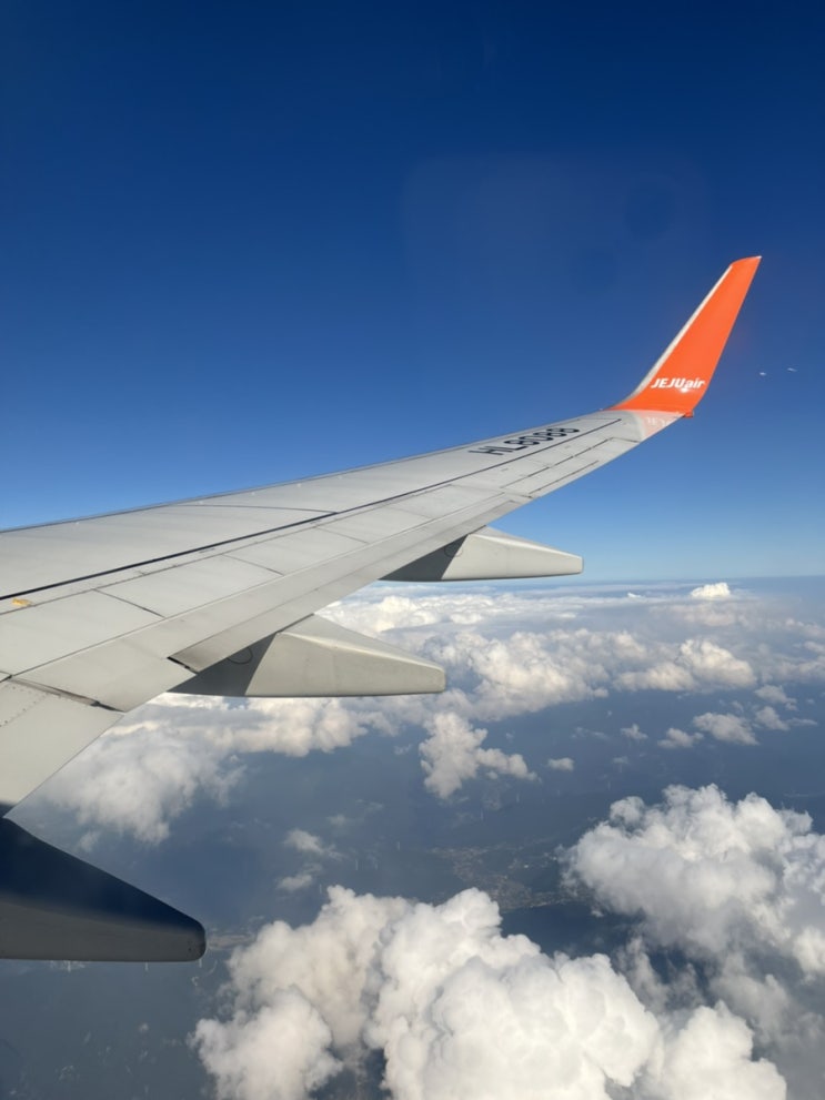 [김해공항] 비행기 탈 때 이제 줄 서지 말고 바로 입장하자 : 바이오인증 등록방법 & 이용후기