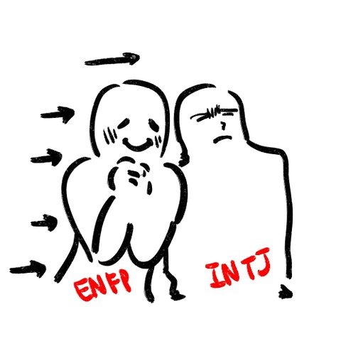  ENFP가 바라보는 INTJ