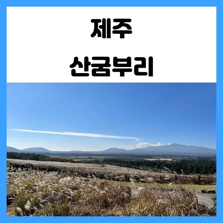 11월 제주 여행 억새 명소 산굼부리 지금 가야 해요