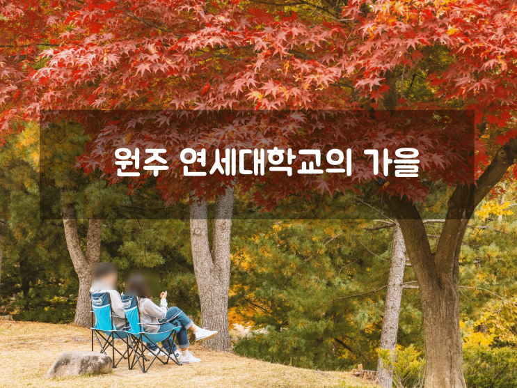  [원주여행] 연세대학교 미래 컴퍼스의 가을맞이