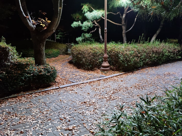  하대원현대아파트 대원공원,