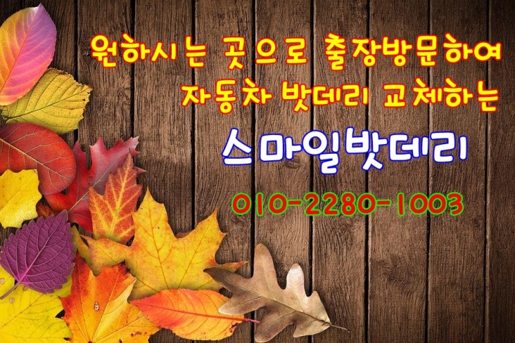 문재인대통령 프란치스코 <b>교황 방북제안</b> 바티칸 청와대... 