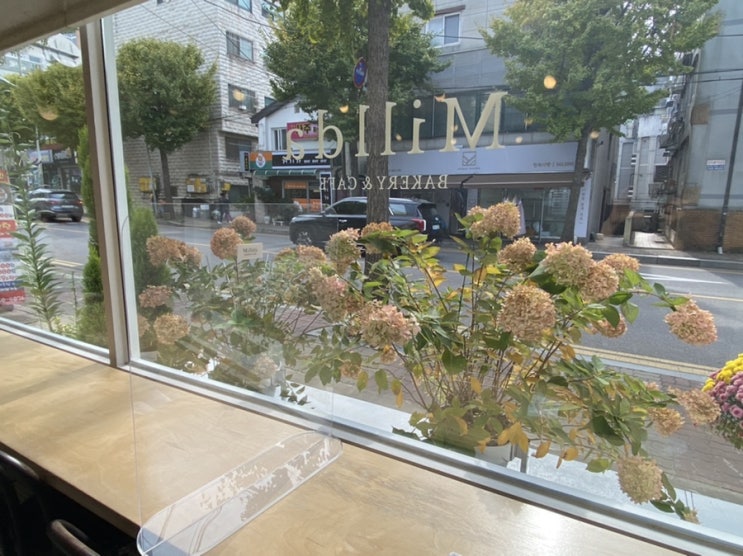  부천 역곡 카페 Millda 밀다에서 바게트 샌드위치와 아메리카노