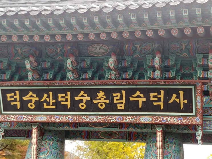 수덕사 가을 빛에 마음이 물들다. 수덕사 가을 빛에 마음이 물들다.