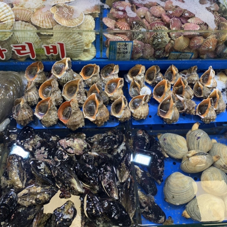 노량진 수산시장 할인받는 방법