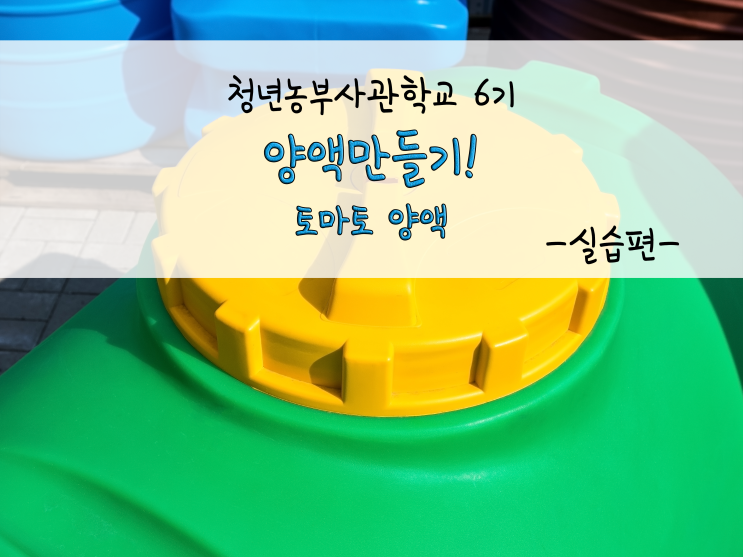  양액만들기!(토마토 양액)_211029