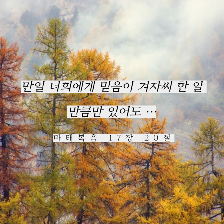  오직 믿음으로 걷기