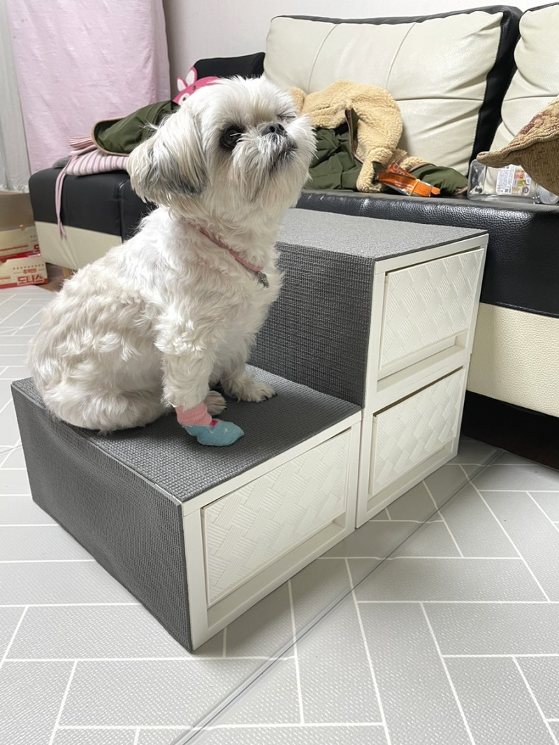 다이소 서랍장으로 강아지 계단 만들기
