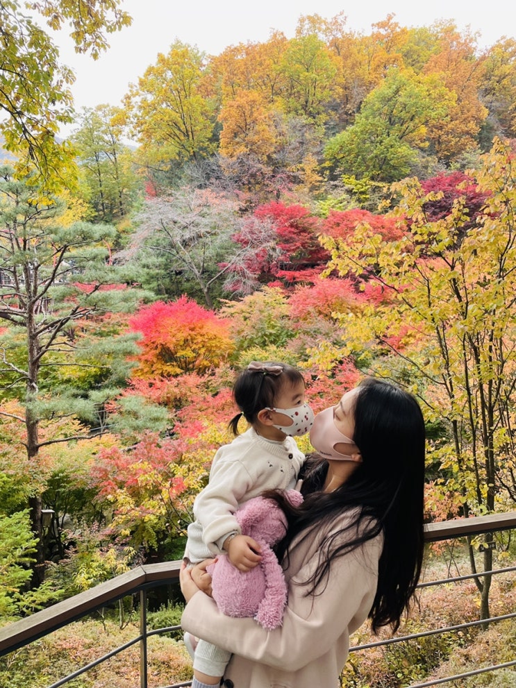  화담숲아기랑 단풍놀이 1시간 반짝 현실나들이