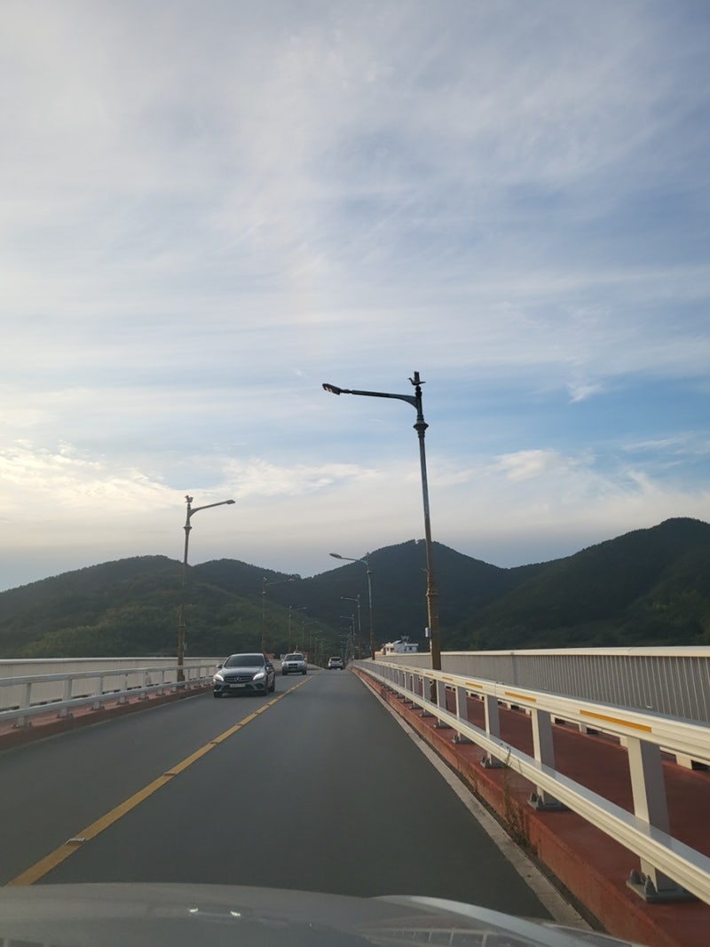 사진 11