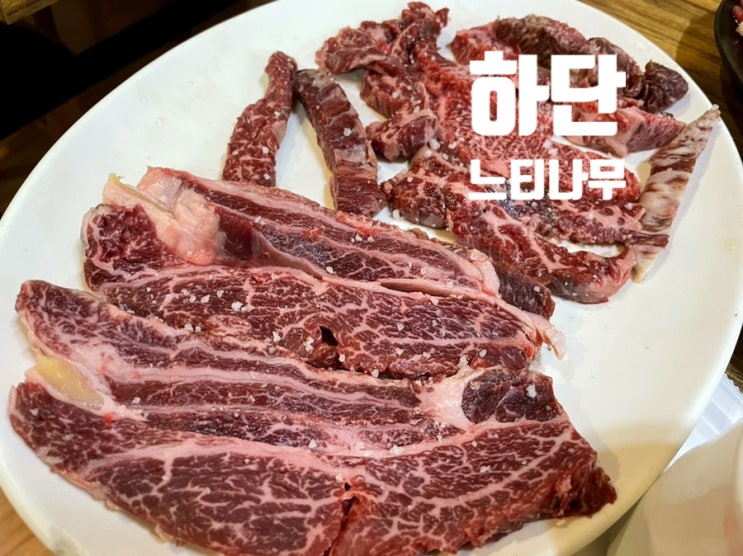  (하단 맛집) 전통 있는 부산 사하구 1++ 암소 한우 맛집 “느티나무 식당”