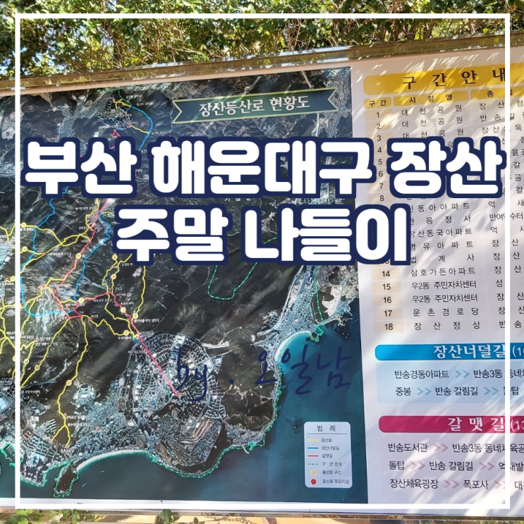  [부산 해운대구] 장산 주말 나들이 등산 ( ft . 고 이건희 회장 땅 기부 )