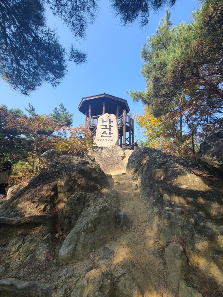  경북 가벼운 산행코스 상주 나각산 전망대 강추